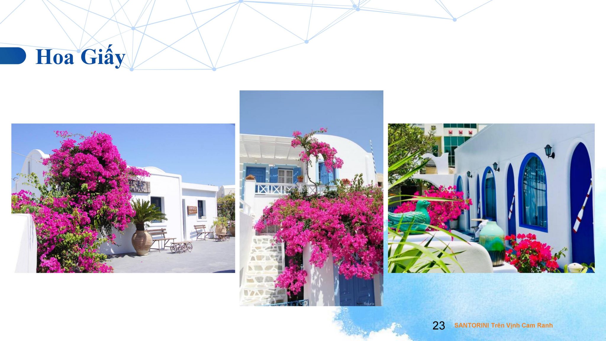 DỰ ÁN CĂN HỘ CONDOTEL CAM RANH BAY - PEARL CAM RANH 0023 - DỰ ÁN CĂN HỘ CONDOTEL CAM RANH BAY - PEARL CAM RANH