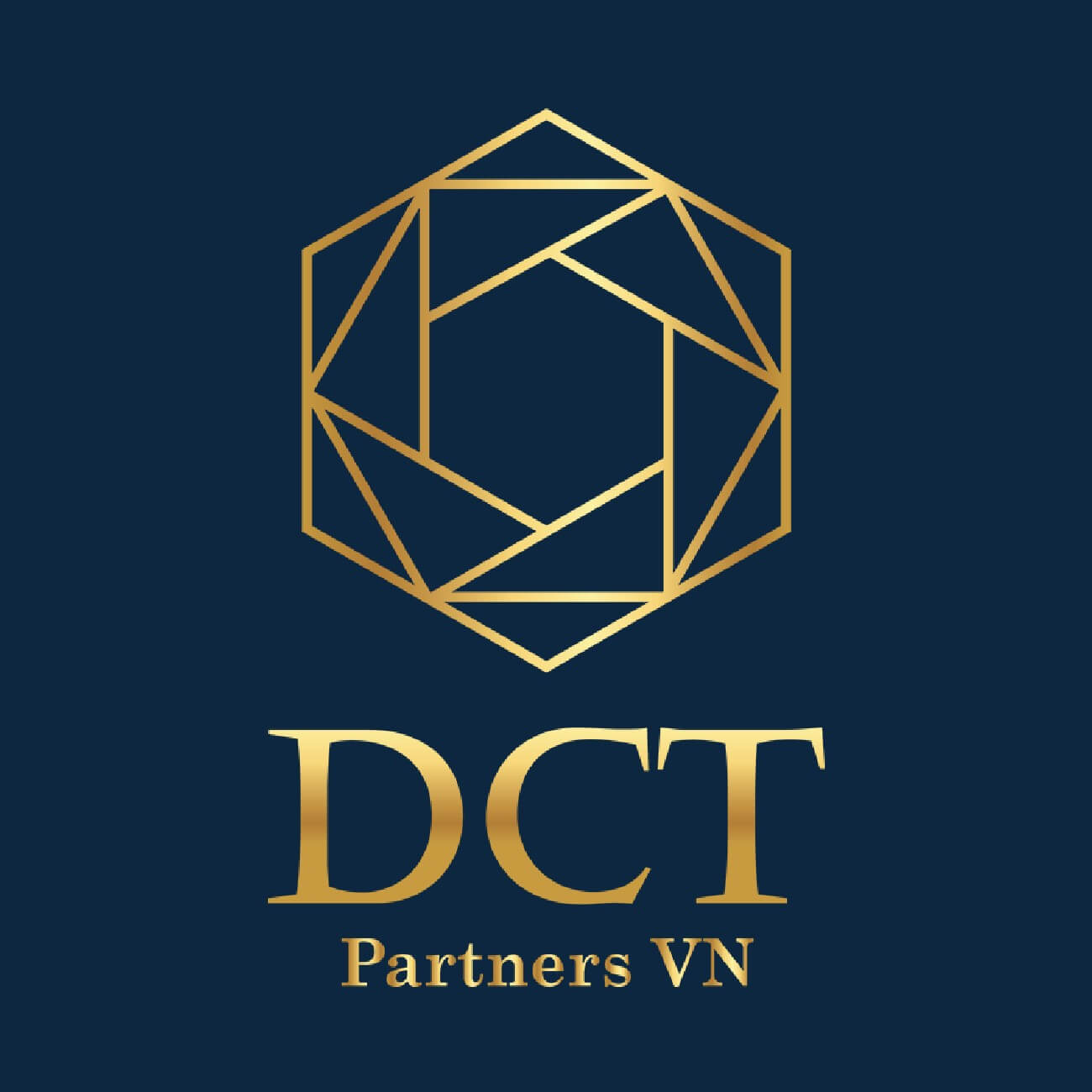 Logo chủ đầu tư DCT 