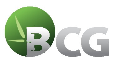 Logo tập đoàn Bamboo Capital Group - BCG